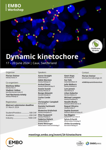 Poster of Dynamic kinetochore