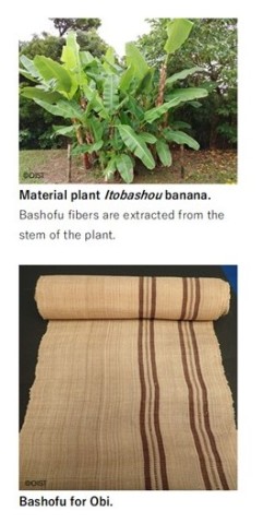 Itobashou (material banana plant) and Bashofu 