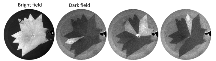 FSU Technique LEEM Dark Field Imaging