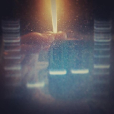 SDS PAGE gel for separation of proteins