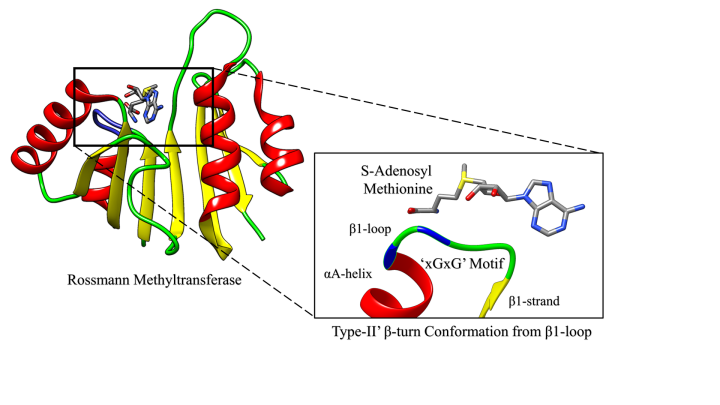 ProteinFY2018TOC