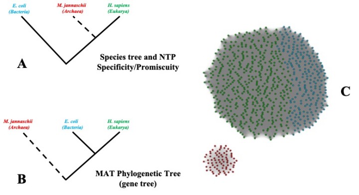 ProteinFY2019figure2