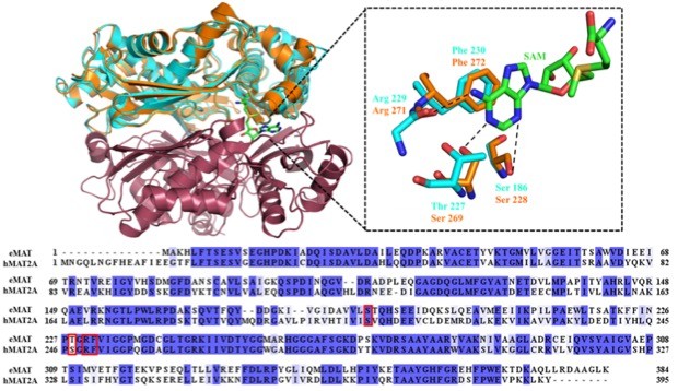 ProteinFY2019figure1