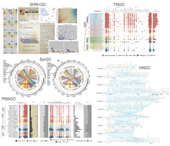 Shinog's visual omics tools image