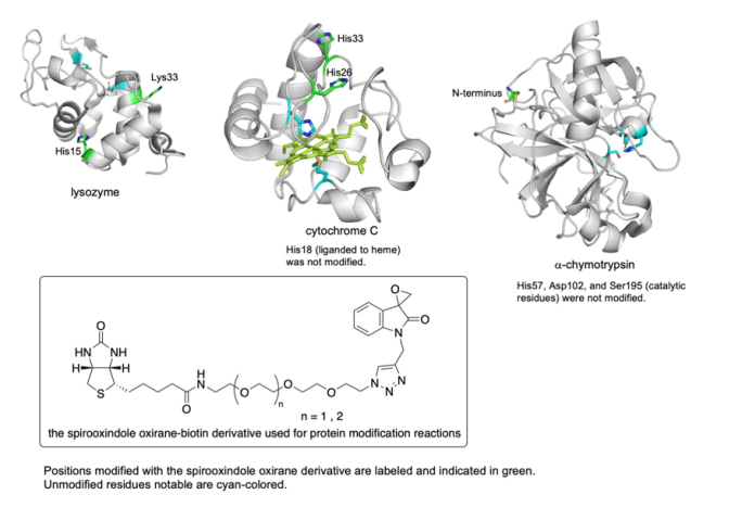 Figure3