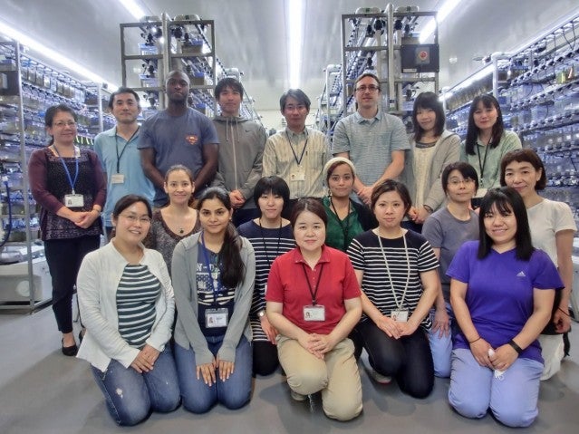 FY2016 members