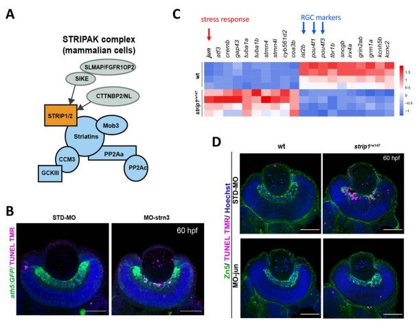 image of figure3