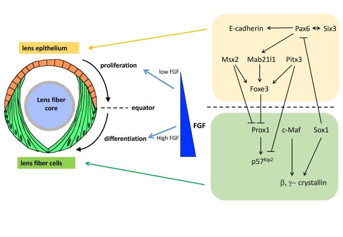 image of figure14