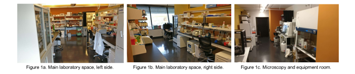 lab space