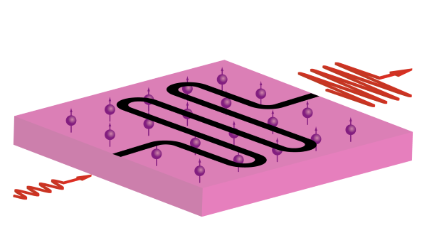 Spin Maser Amplifier