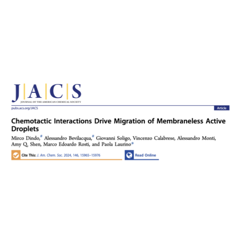 Photo of paper published in Journal of American Chemical Society