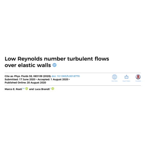 Photo of paper published in Physics of Fluids