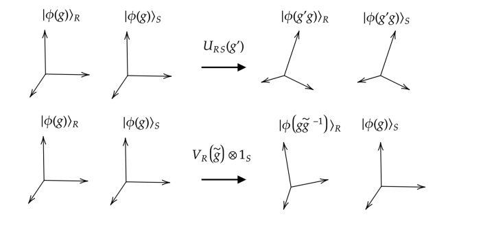 distinction between gauge transformations and symmetries