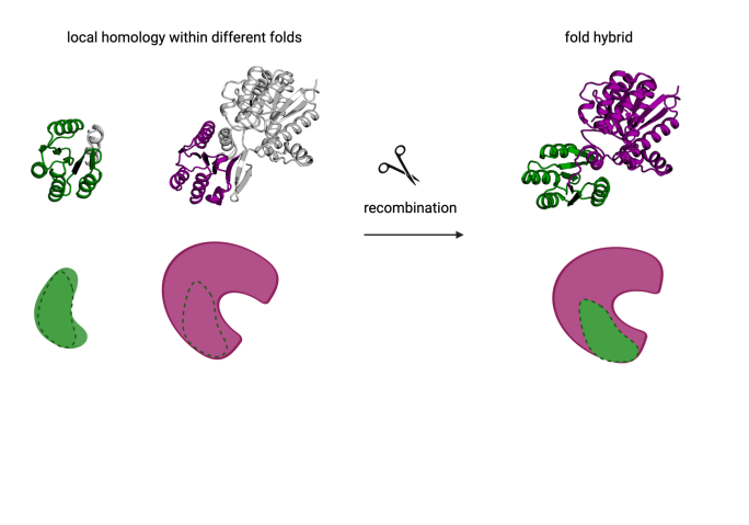 building protein chimeras from existing fragments