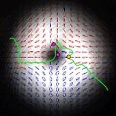 Polarization Manipulation