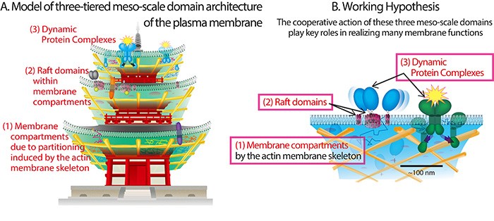 A three-storied Japanese tower.