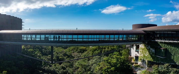 OIST_Skywalk_bridge