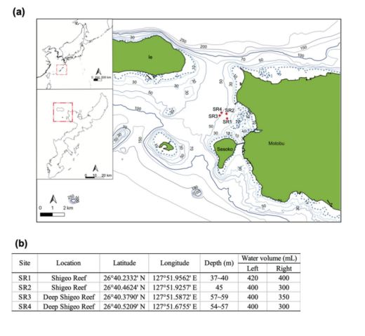 A scleractinian coral eDNA survey at four mesophotic sites using an underwater mini-ROV