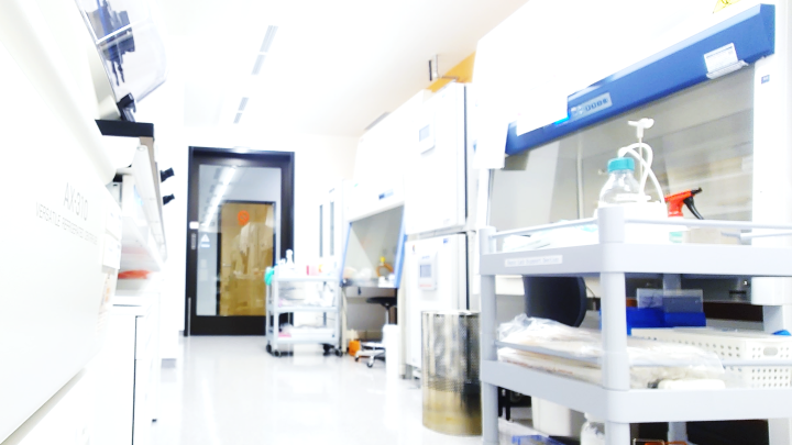 A room with biosafety cabinets, racks with small equipment