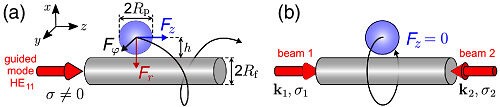 Dielectric Microparticles