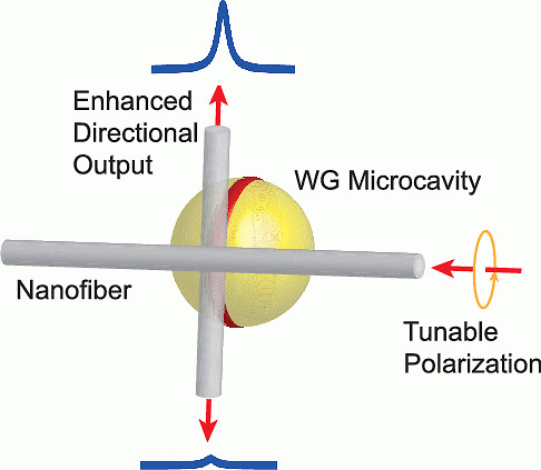 Directional Coupling of Light