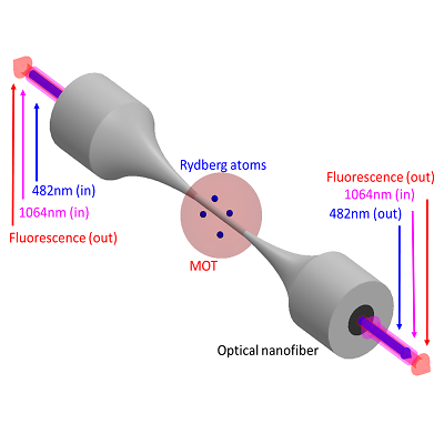 Generation of Cold Rydberg Atoms