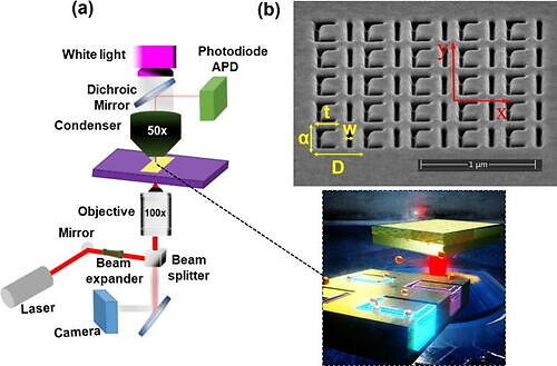 Metamaterial Plasmonic Tweezers