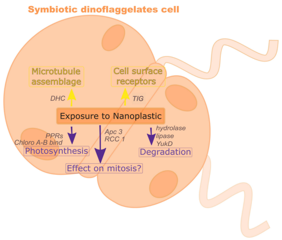 Microorganisms