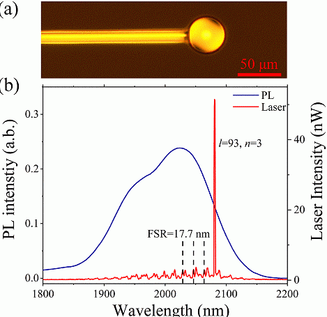 Microsphere Laser