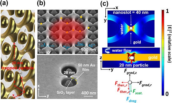 Nanoring Aperture