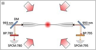 Rubidium Atom Spectral Lineshapes