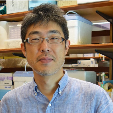 Photo of Hideyuki Matsunami.