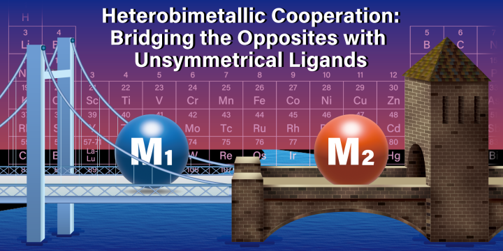 20220831-scientific illustration for Heterobimetallic Cooperation-final(1)