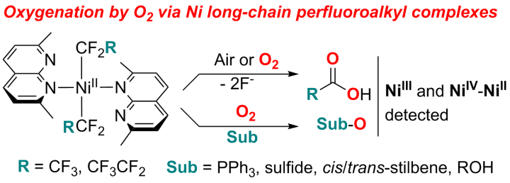 TOC_Ni