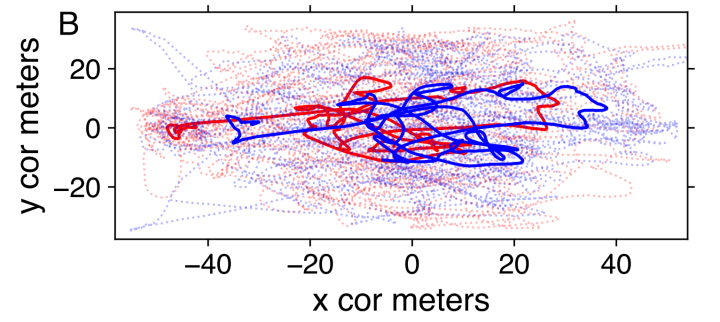 Graph showing four trajectories: the movements of players from the two teams as well as the center of masses (centroids) of each team. The centroids clearly exhibit Lévy walk movement, with long, straight paths between tighter clusters of localized movement.