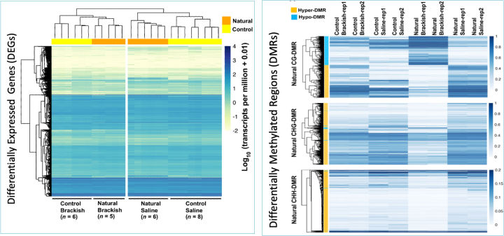 stg_Matin_research heatmaps