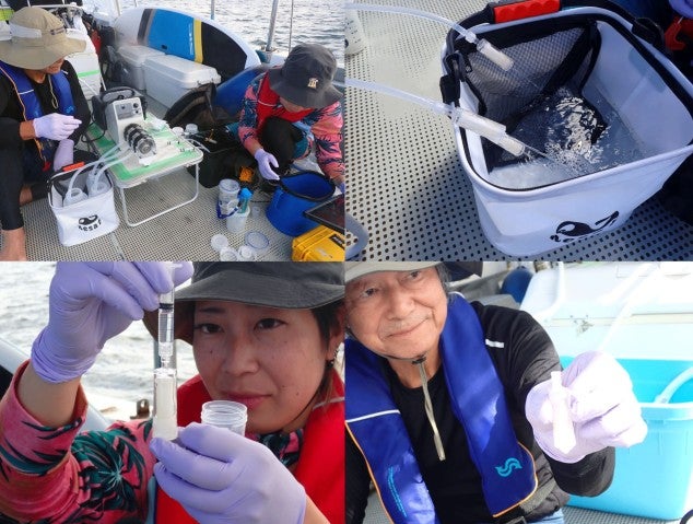 Collecting coral eDNA