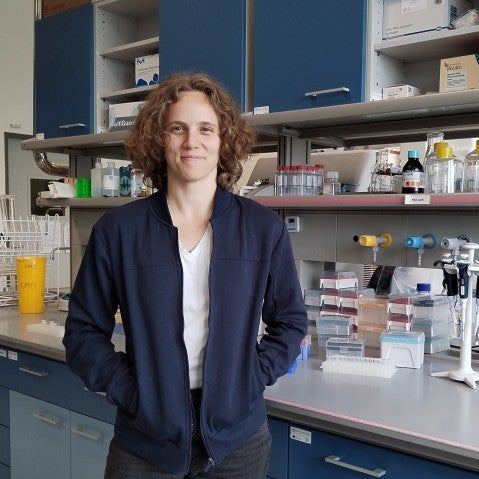 ProteinMargaux