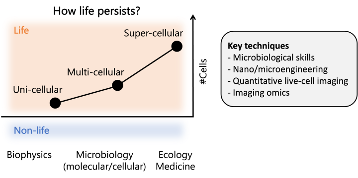 yokoyama_research_overview