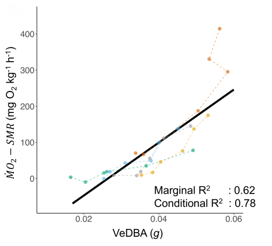 A graph showing a linear relationship between the measurements taken during video-based DBA.