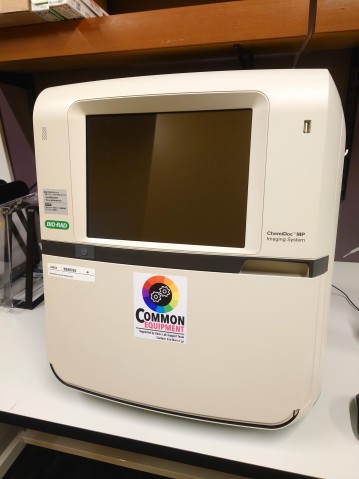 BioRad ChemiDoc MP Imaging System