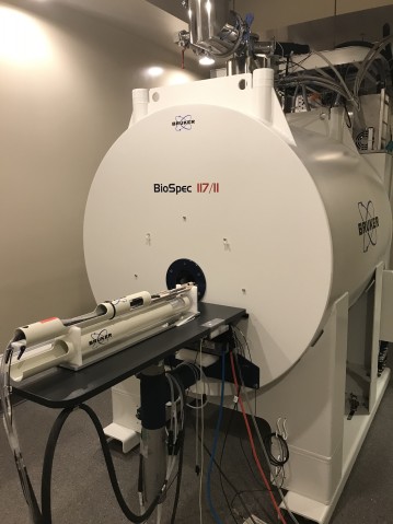 本研究で使用したOISTの高磁場MRIスキャナー。 