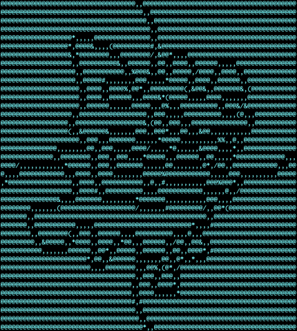 Photo of OIST's symbol in ASCII