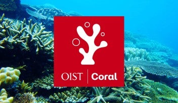 OIST Coral Project Article Heather