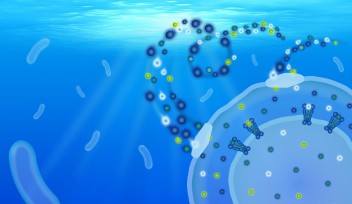 Artist impression of the transport proteins of SAR11 bacteria.