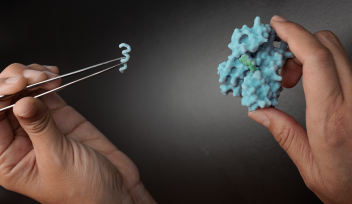 Rational design of proteins