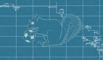 An artist's impression showing a blueprint-like drawing of a squirrel with a football in its hands, on a background with a grid and lines in Lévy walk patterns. 