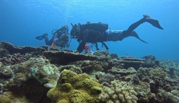An underwater photograph of two SCUBA diver investigating corals in a reef with various scientific equipment. Colorful corals are seen in the foreground.