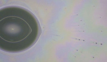 A close-up photo of a water droplet, shaped in an elongated oval, pumping out a spray of tiny microdroplets from one end. 