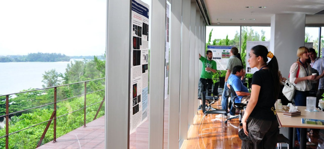 people looking at the poster